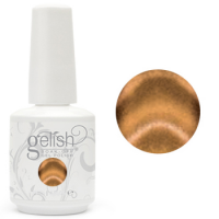 Mini Gelish Magneto- Don’t Be So Particular